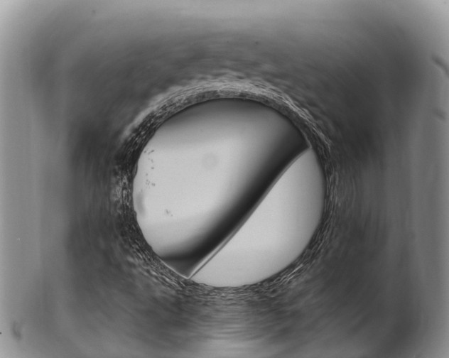 X0000102521495200808081017