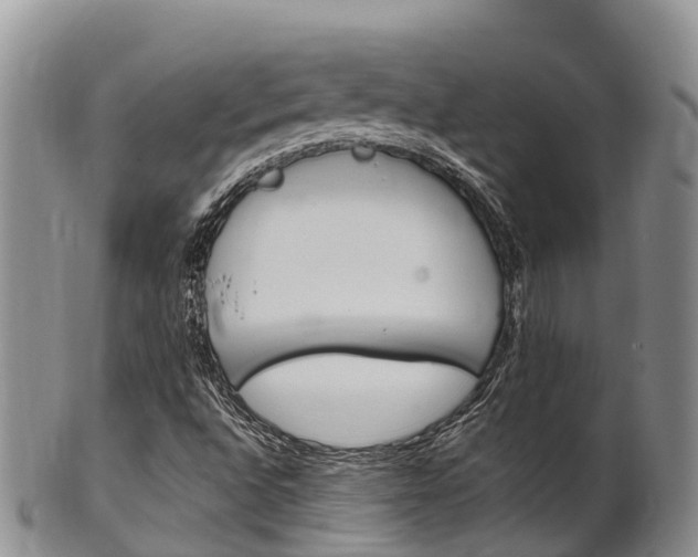 X0000102521496200808081017