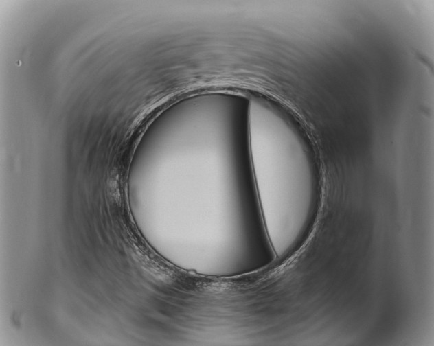X0000102521497200808081017
