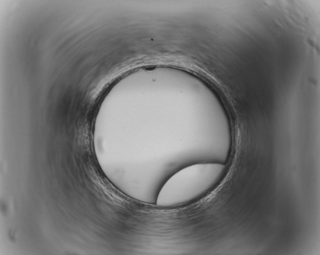 X0000102521498200808081017