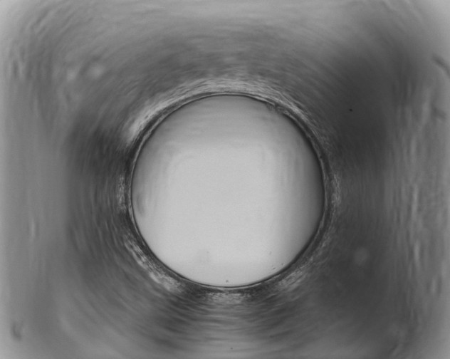 X0000102521499200808081017