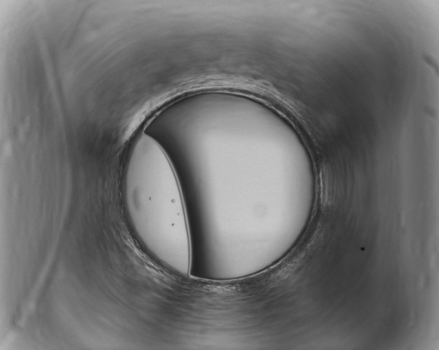 X0000102521501200808081017