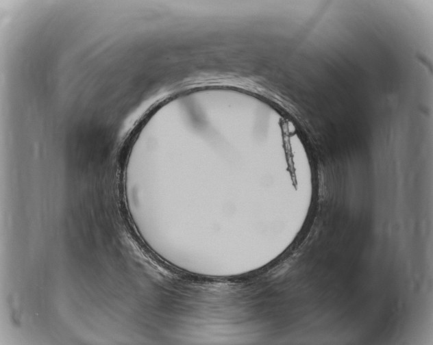 X0000102521502200808081017