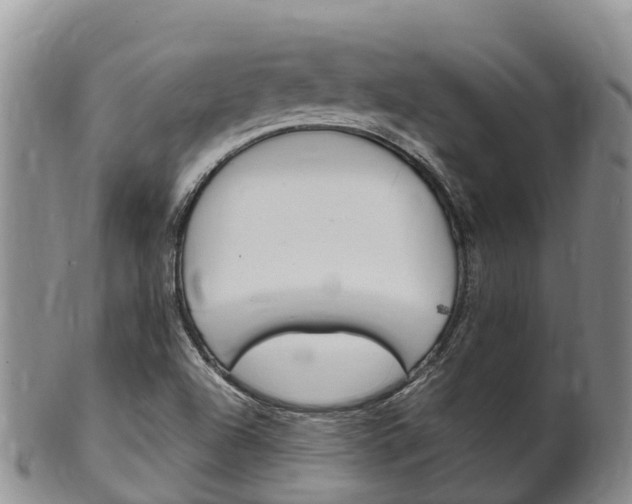 X0000102521504200808081017