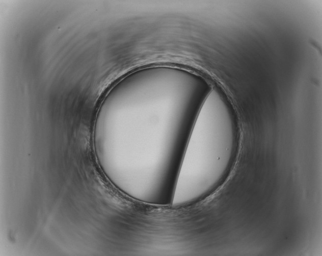 X0000102521505200808081017