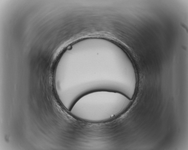 X0000102521506200808081017