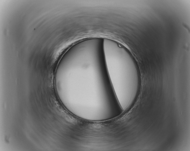 X0000102521507200808081017