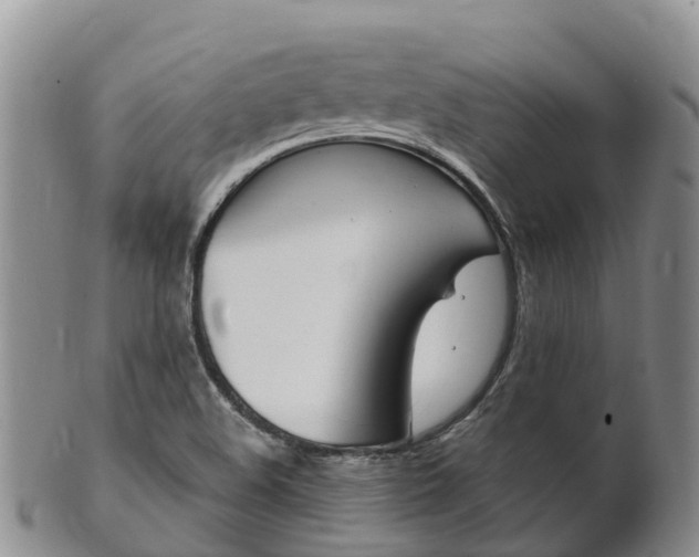 X0000102521508200808081017