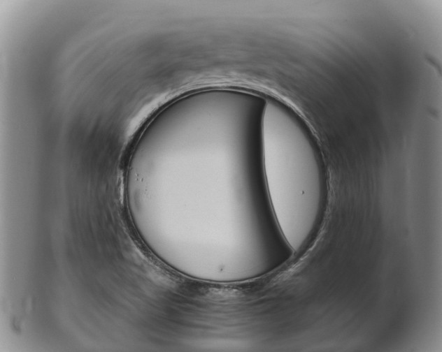 X0000102521509200808081017