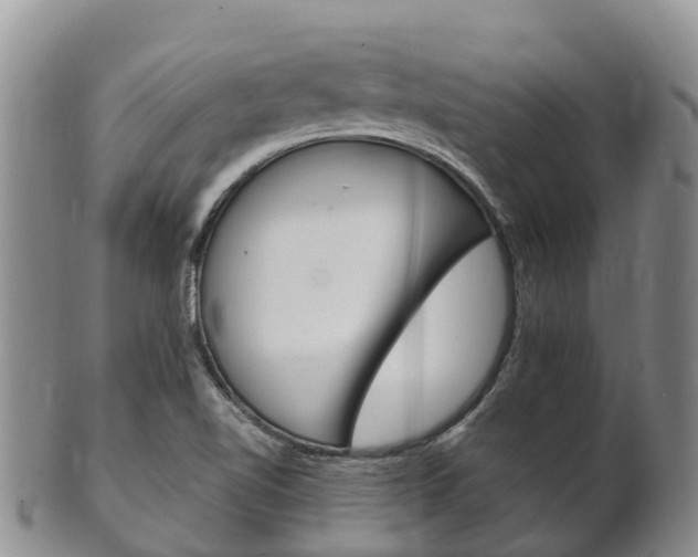 X0000102521510200808081017
