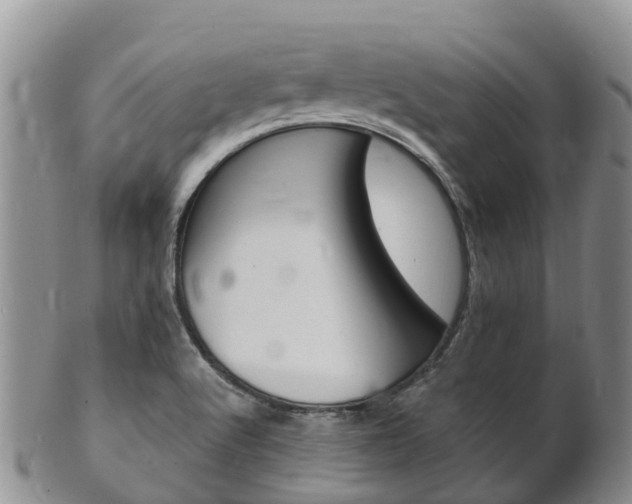 X0000102521512200808081017