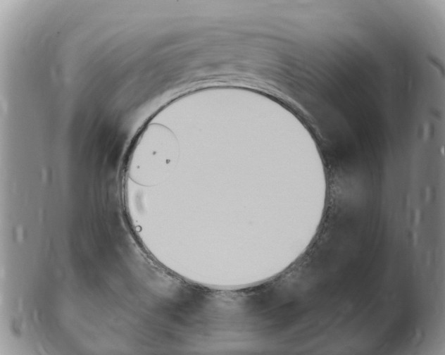 X0000102521514200808081017