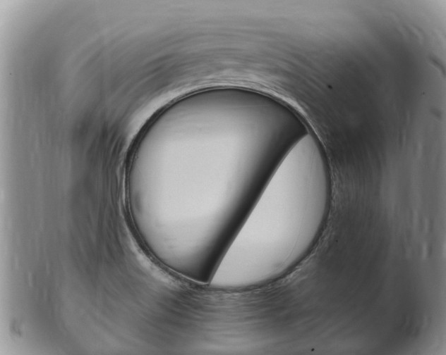 X0000102521515200808081017