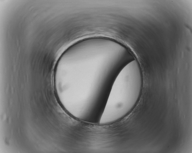 X0000102521516200808081017