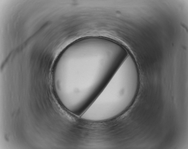 X0000102521517200808081017
