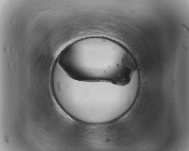 X0000102521518200808081018