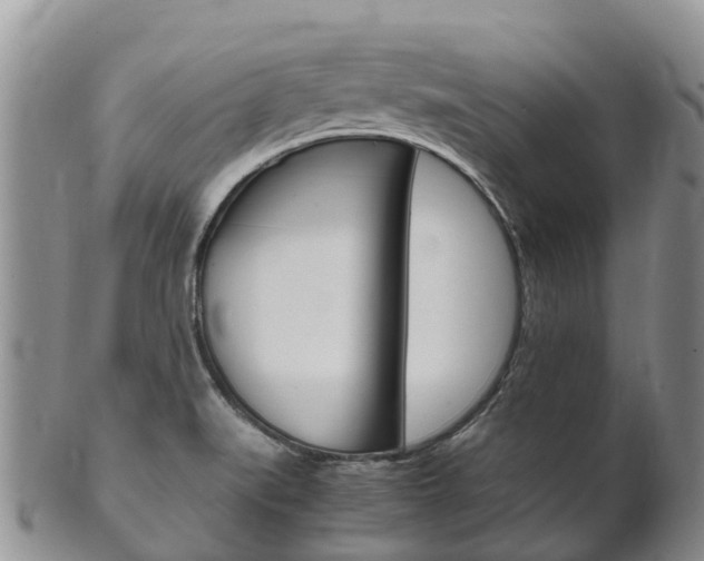 X0000102521519200808081018