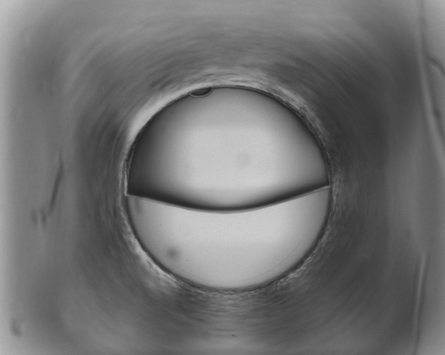 X0000102521520200808081018