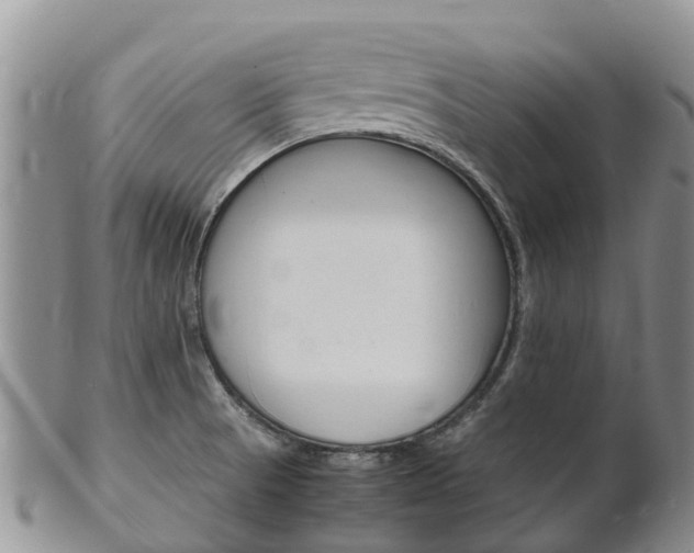 X0000102521521200808081018