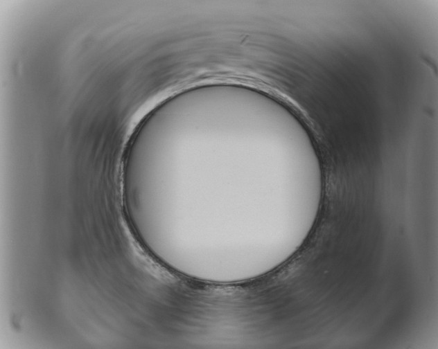 X0000102521522200808081018
