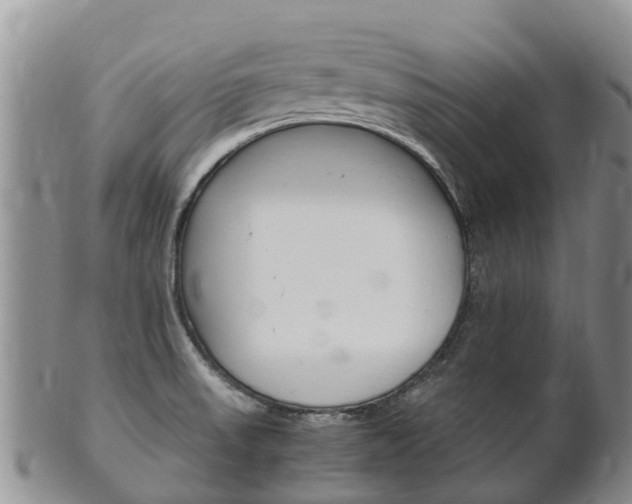 X0000102521523200808081018