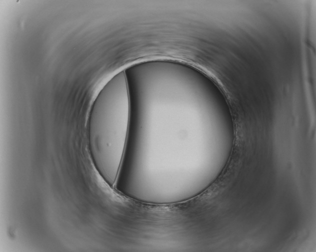 X0000102521524200808081018