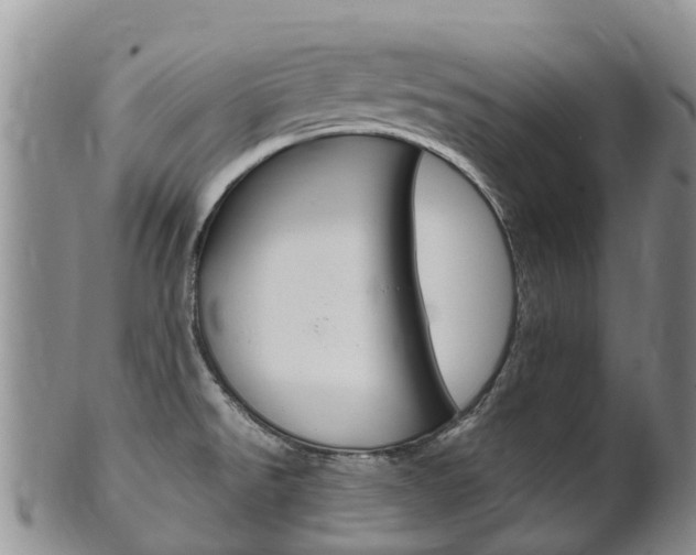 X0000102521526200808081018