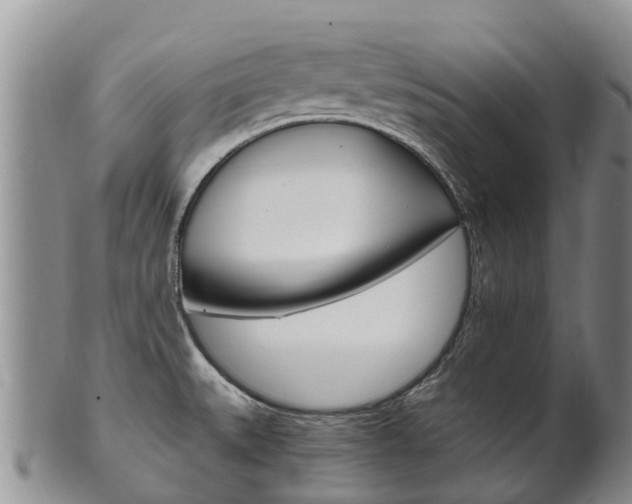 X0000102521527200808081018