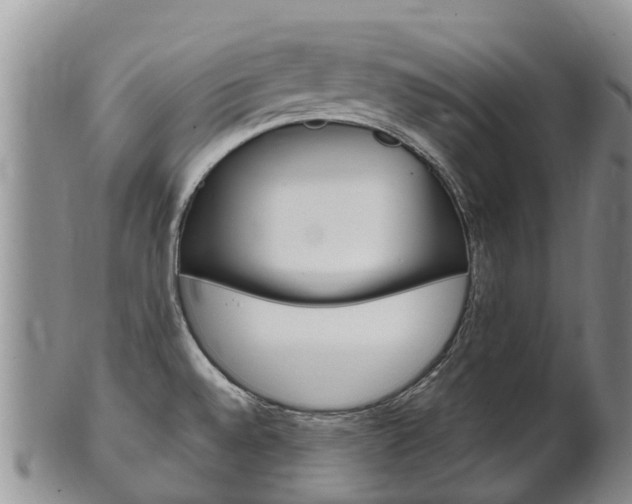 X0000102521528200808081018