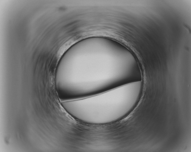 X0000102521529200808081018