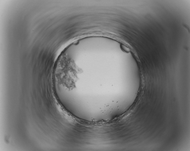 X0000102521530200808081018