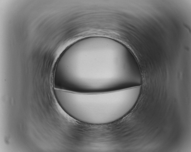 X0000102521531200808081018