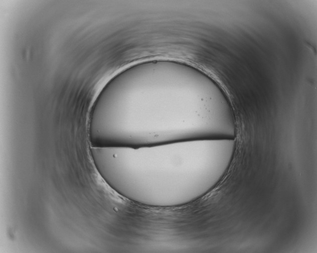 X0000102521532200808081018