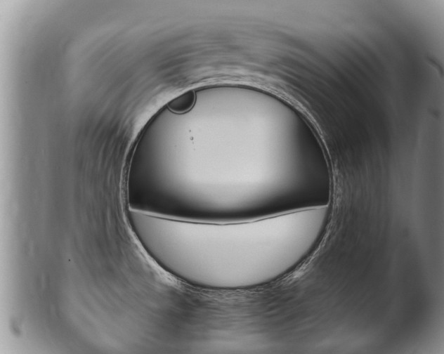 X0000102521533200808081018
