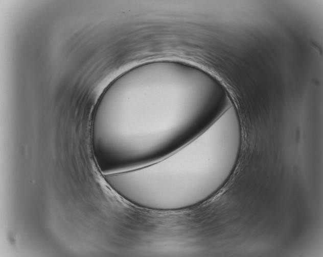 X0000102521534200808081018