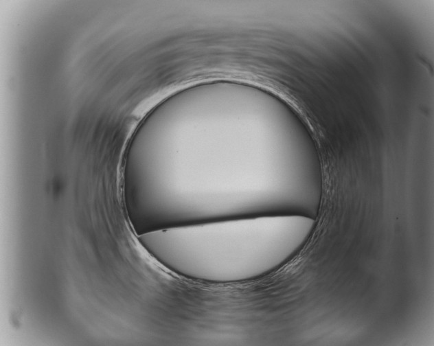 X0000102521535200808081018