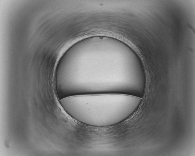 X0000102521536200808081018