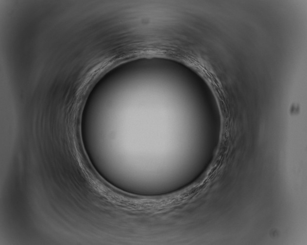 X0000102520001200808081438