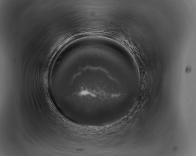 X0000102520002200808081438