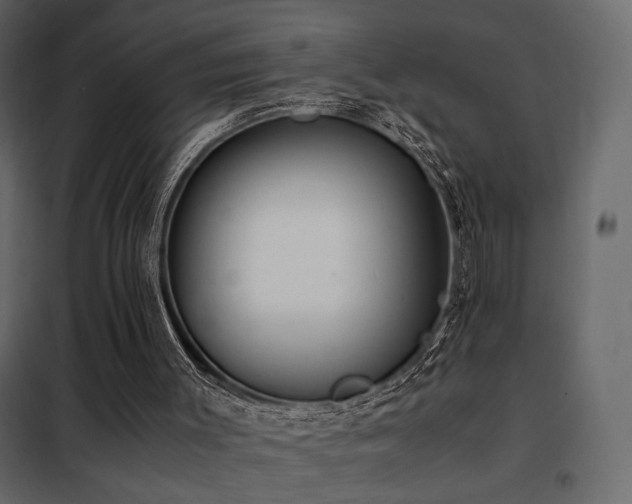 X0000102520003200808081438