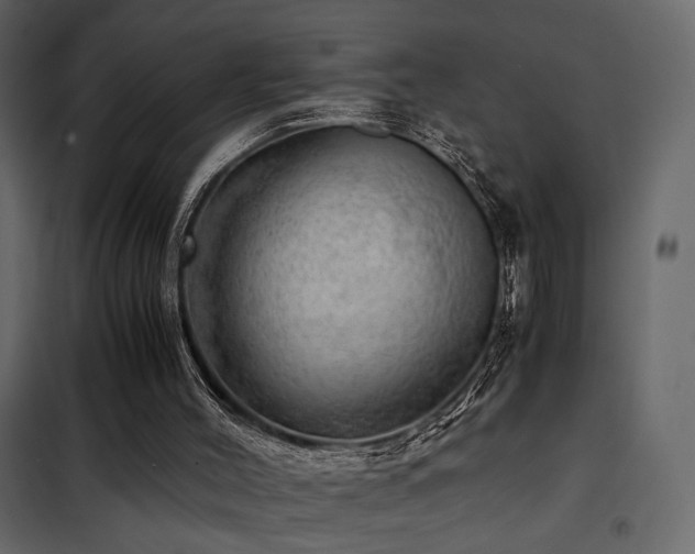 X0000102520004200808081438