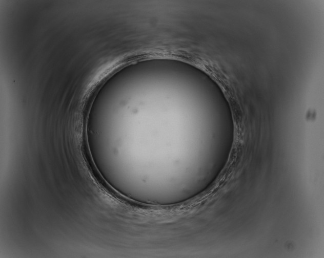 X0000102520005200808081438