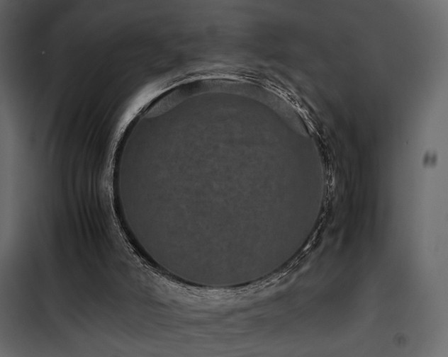 X0000102520006200808081438