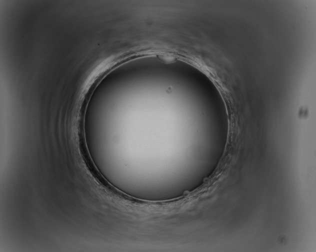 X0000102520007200808081438