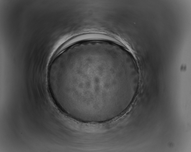 X0000102520008200808081438