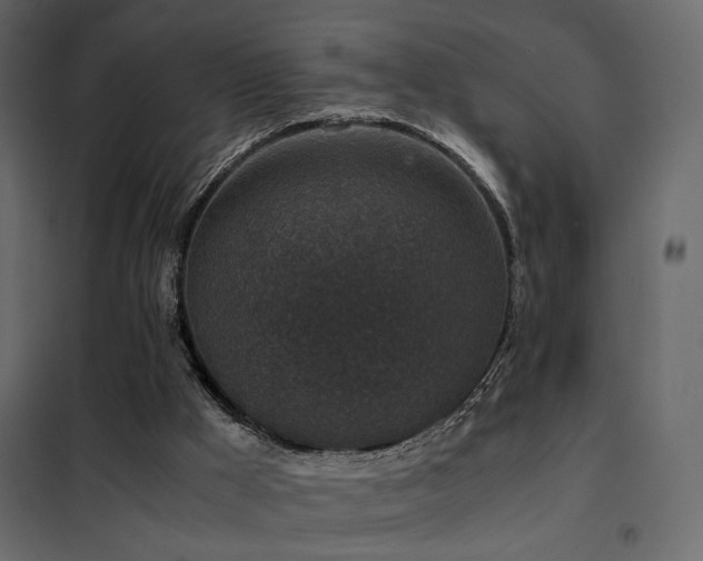 X0000102520009200808081438