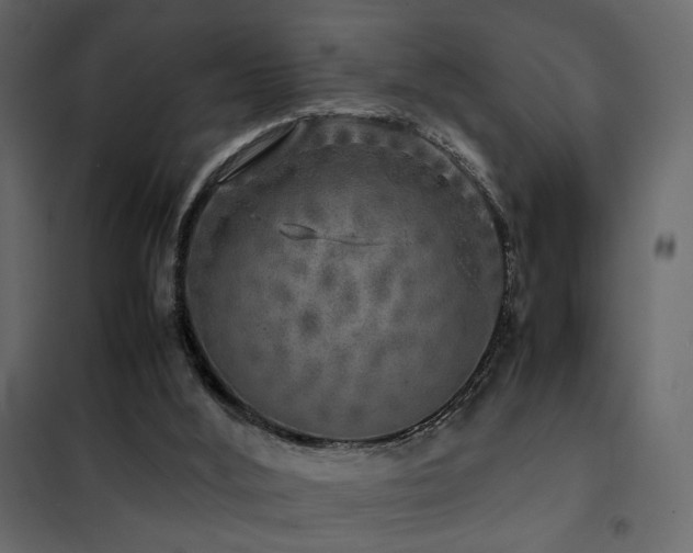 X0000102520012200808081438