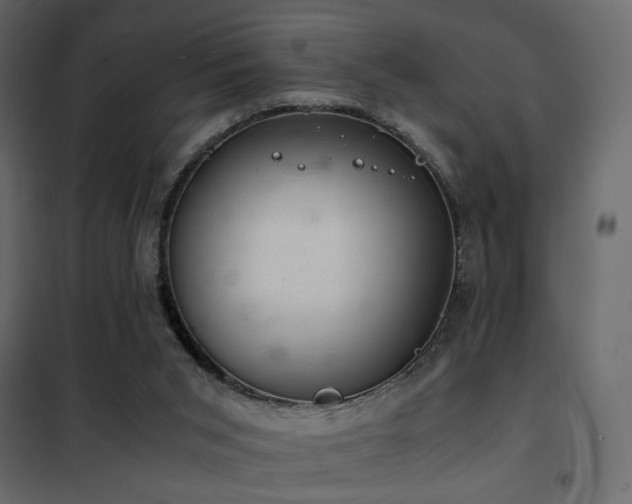 X0000102520015200808081438