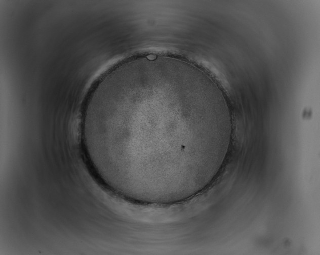 X0000102520016200808081438