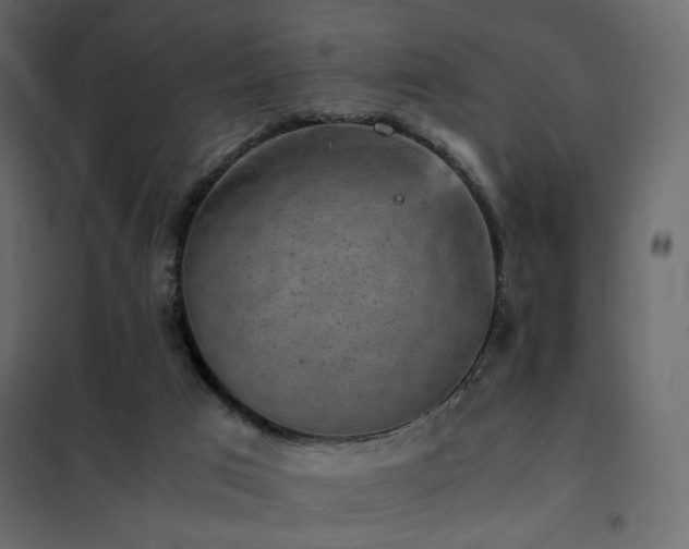 X0000102520017200808081438